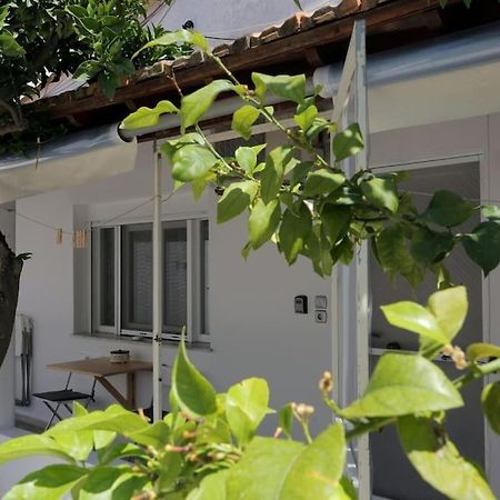 אגיוס גיורגיוס Stamatis Apartment מראה חיצוני תמונה